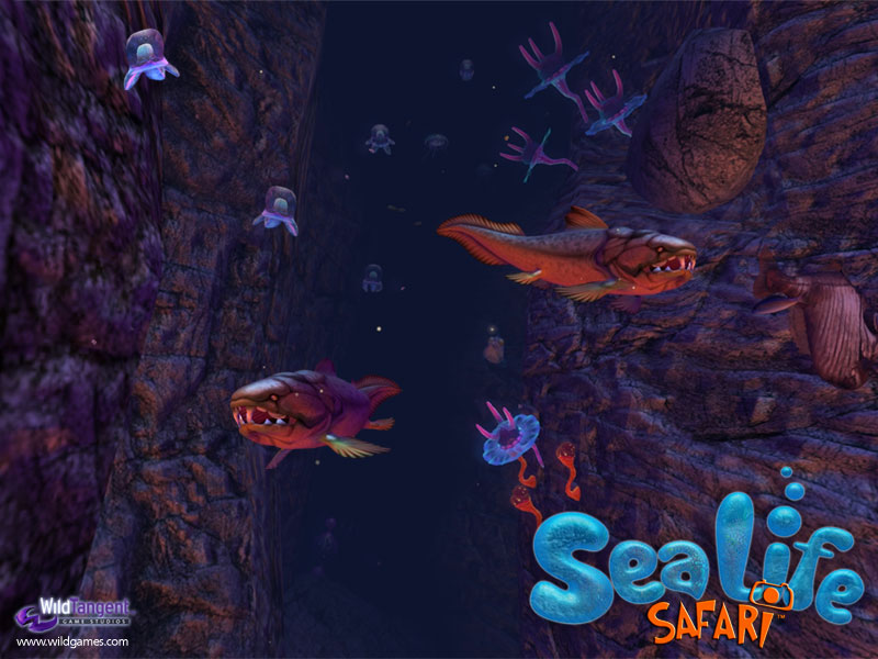 sea life safari pc game